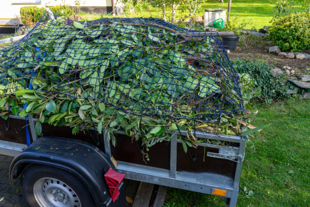 Best Yard Waste Removal  in Brackettville, TX